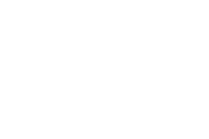 Data Discoveries ( GB Group)