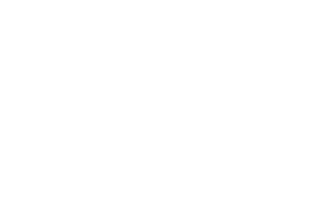 Mettler-Toledo Ltd.