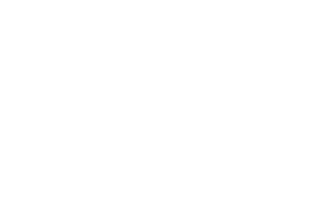American Express Corporate Div.