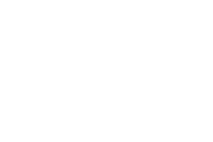 Seddon