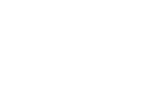 Euro Energy Services