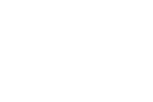 Siemens Security Products