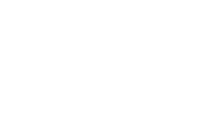 Career Development Institute