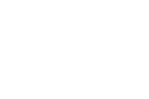DG3