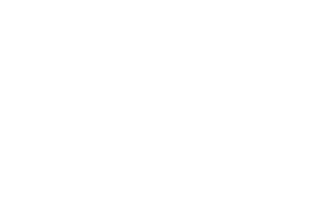 The Consultancy Company