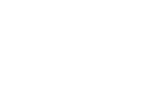 Nexus Vehicle Management Ltd