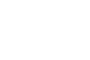 Data Monitor