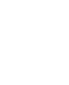 Step Exhibitions
