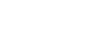 Hitachi Consulting