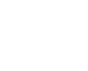 Turtle Wax